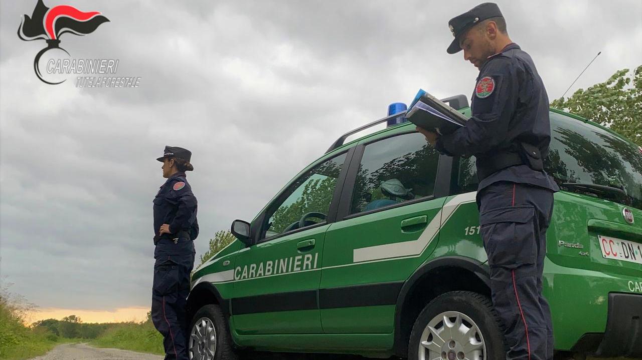 Una pattuglia dei carabinieri forestali (foto d'archivio)