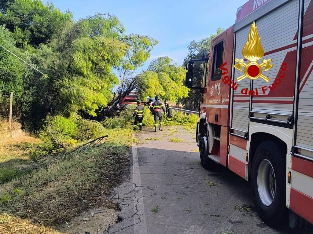 Crolla un albero, due auto si scontrano: un ferito all’ospedale