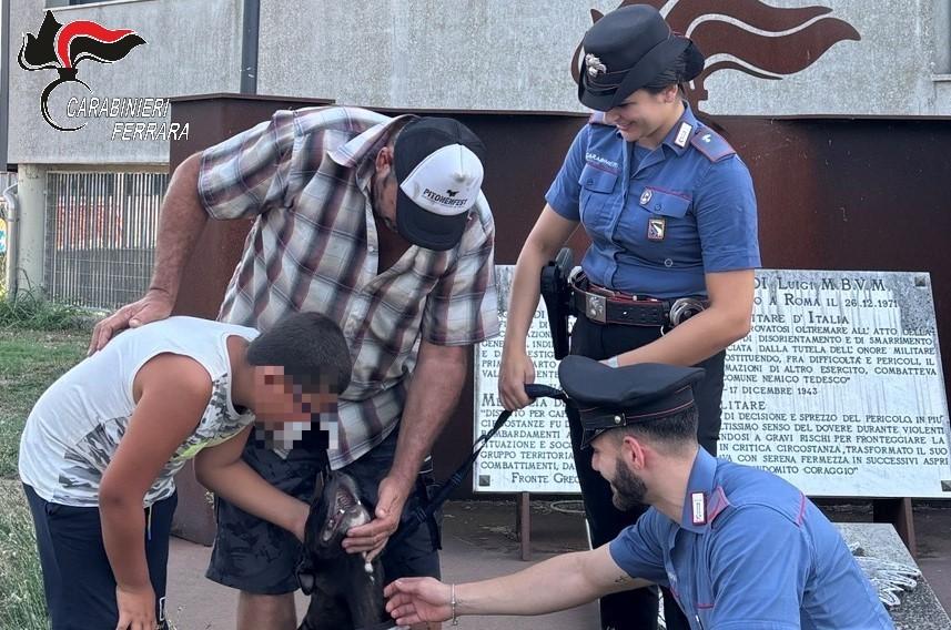 “Hanno rubato Zoe” e i carabinieri ritrovano il cane. Donna denunciata per furto