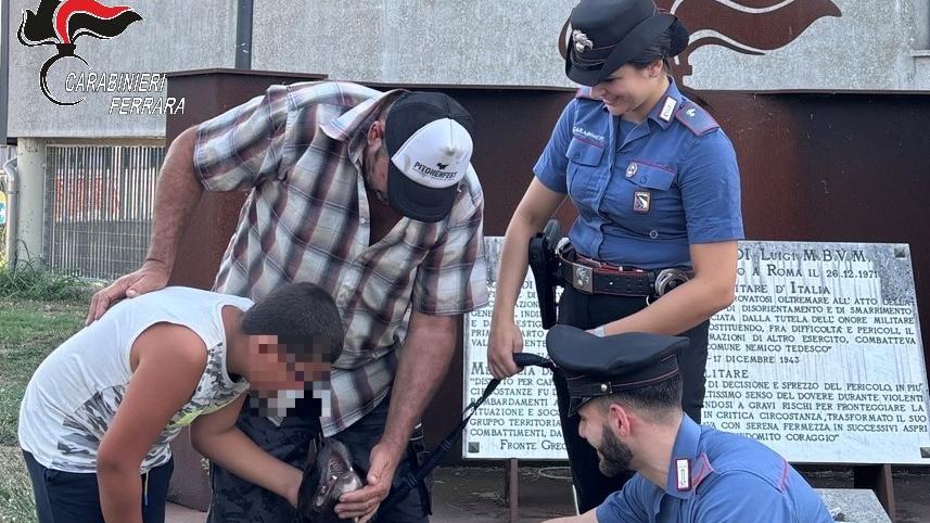 “Hanno rubato Zoe” e i carabinieri ritrovano il cane. Donna denunciata per furto