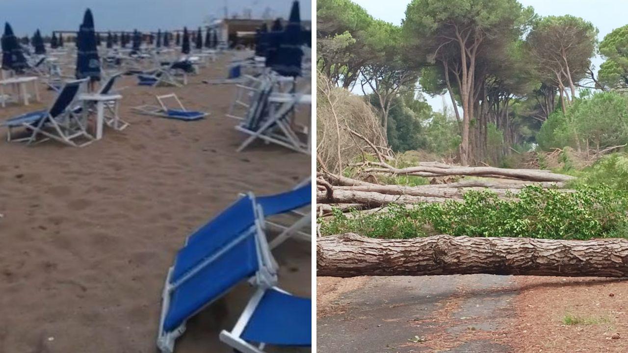 
	I danni del maltempo allo stabilimento Calypso e a San Rossore

