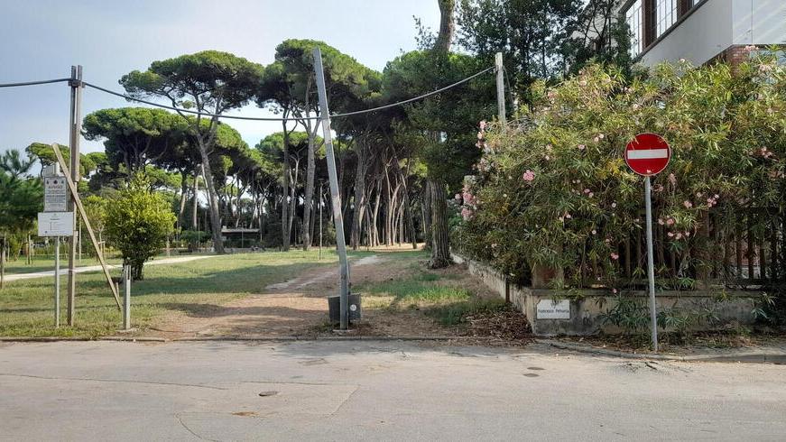 Il punto all’ingresso della Pineta di Levante