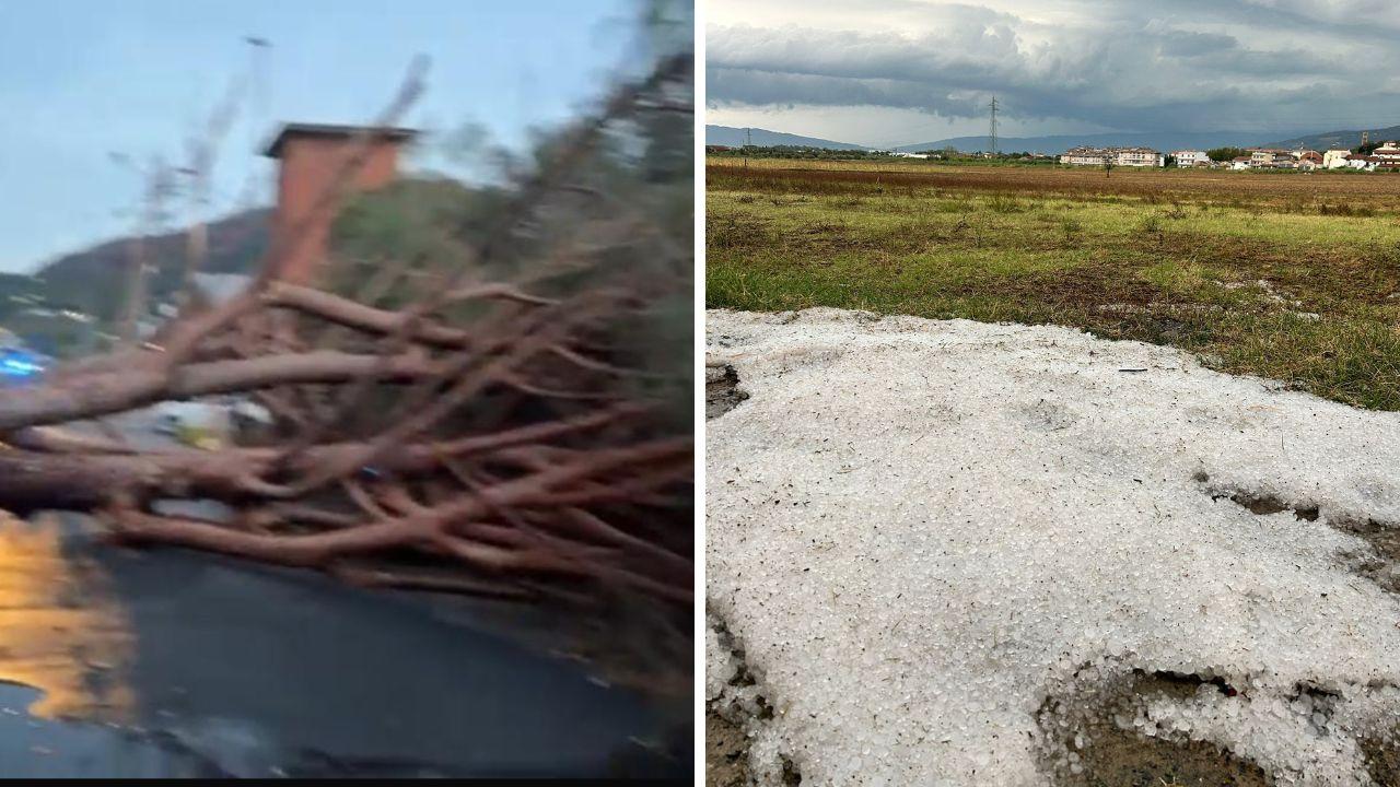 
	Grandine a Montemurlo e alberi caduti a Prato


