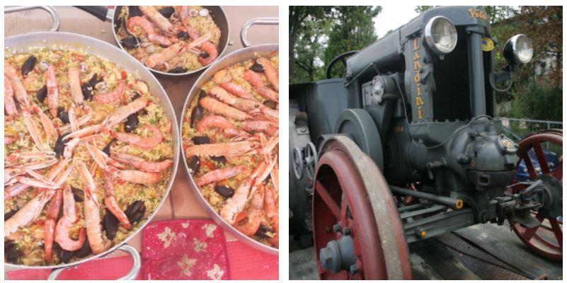 Dieci cose da fare nel week end a Reggio Emilia e provincia