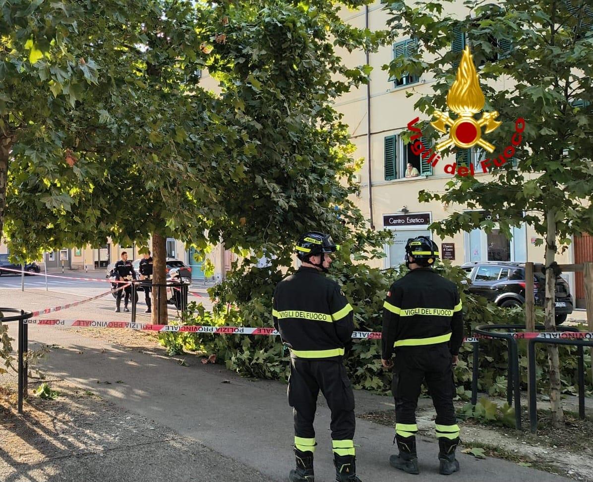 
	L'intervento dei vigili del fuoco

