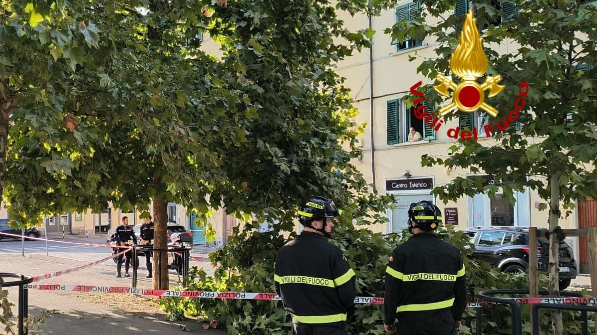 L'intervento dei vigili del fuoco