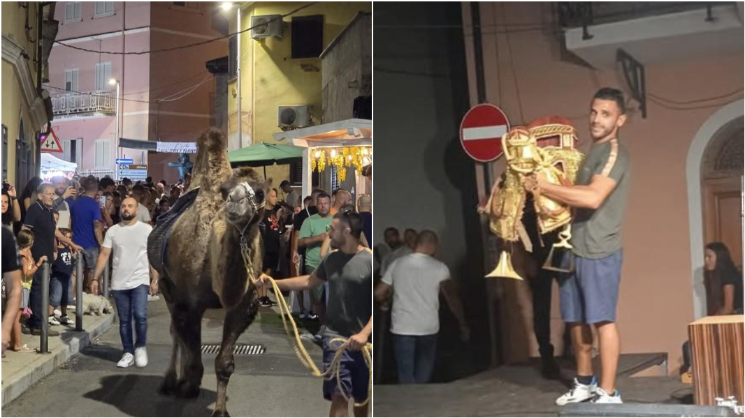 A Torpè sfila il cammello Rodolfo: Pratas in Festa da record