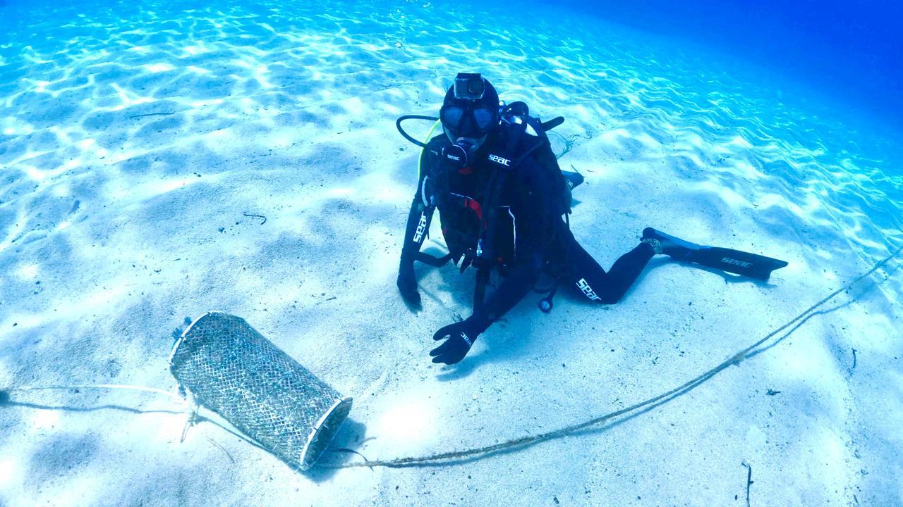Reti abbandonate: la nuova sfida delle sentinelle blu