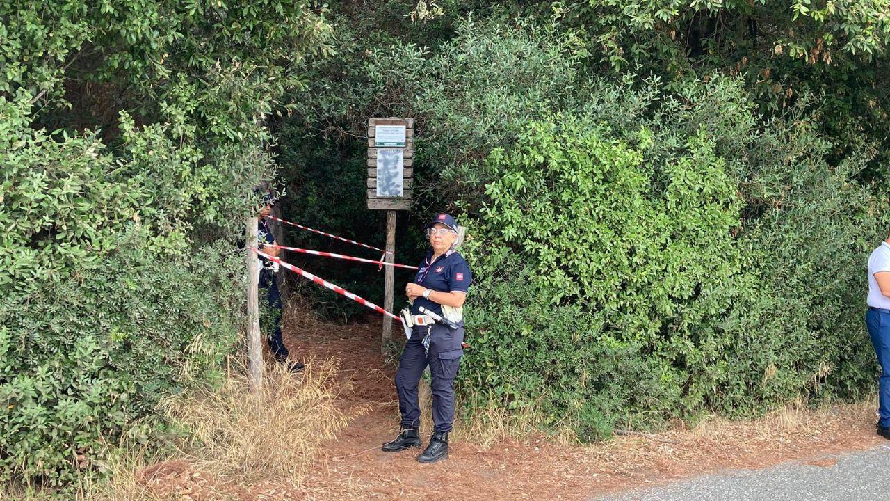 
	Vigili urbani in pineta

