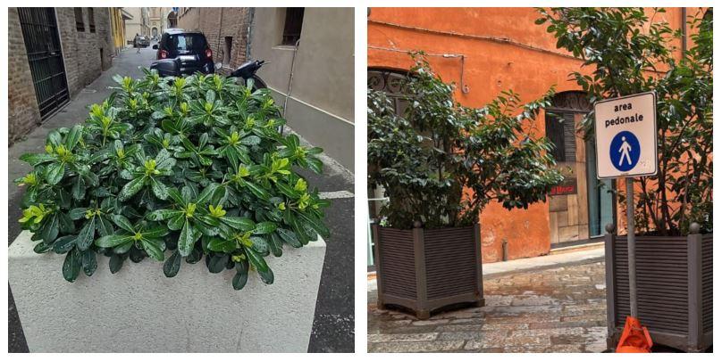 Centro storico: i cittadini si prendono cura delle fioriere