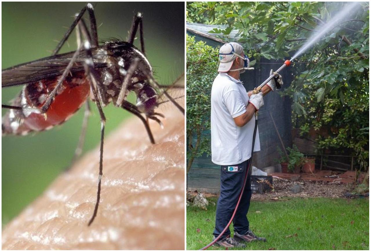 Il virus Chikungunya dilaga nel Modenese: i casi salgono a 41