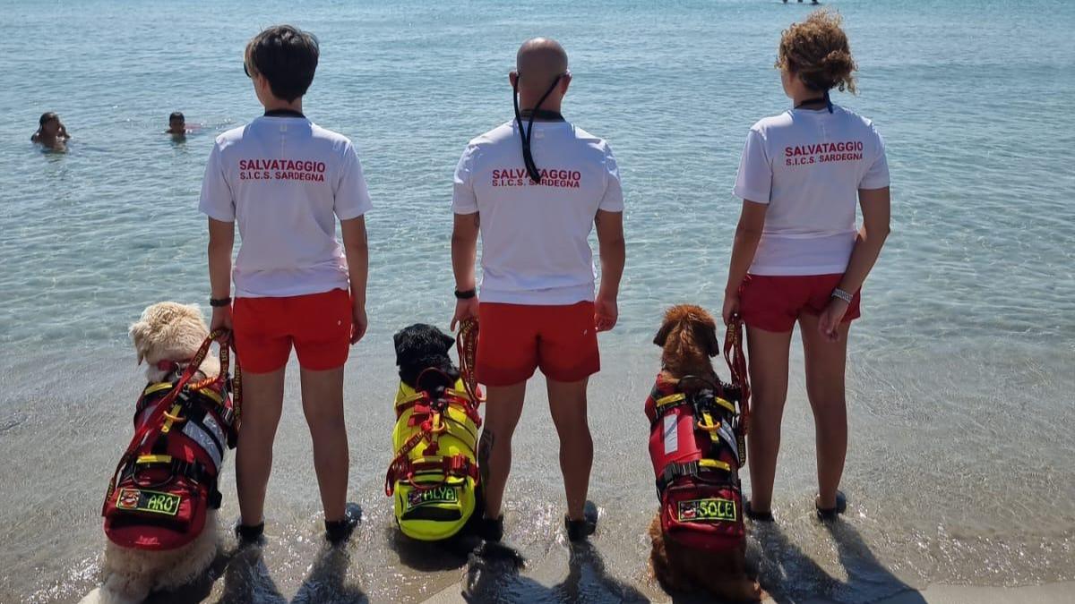 Salvataggio a mare: grazie ai cani bagnanti più al sicuro