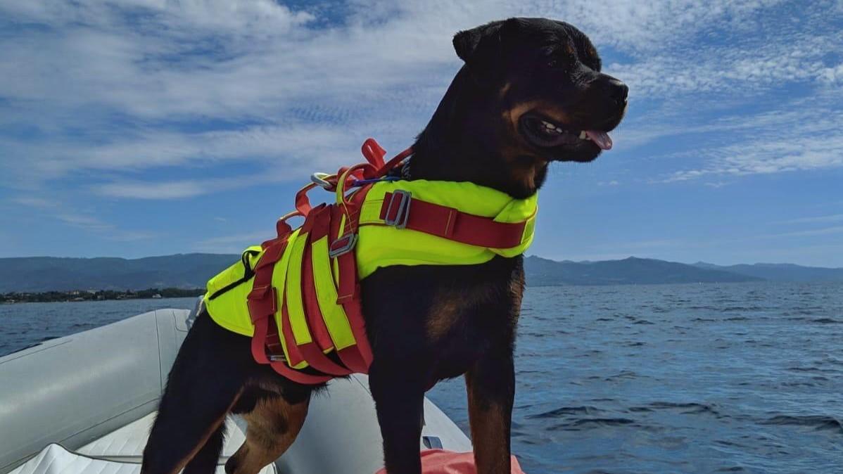 I bagnini: «Per loro è come un gioco ma salvano le vite»