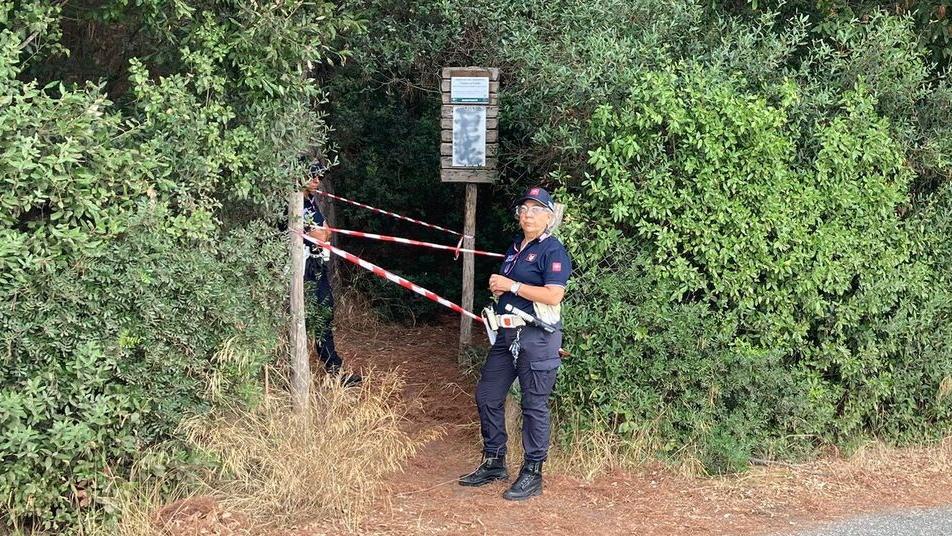 Cecina, si accascia mentre passeggia in pineta e muore: chi è la vittima