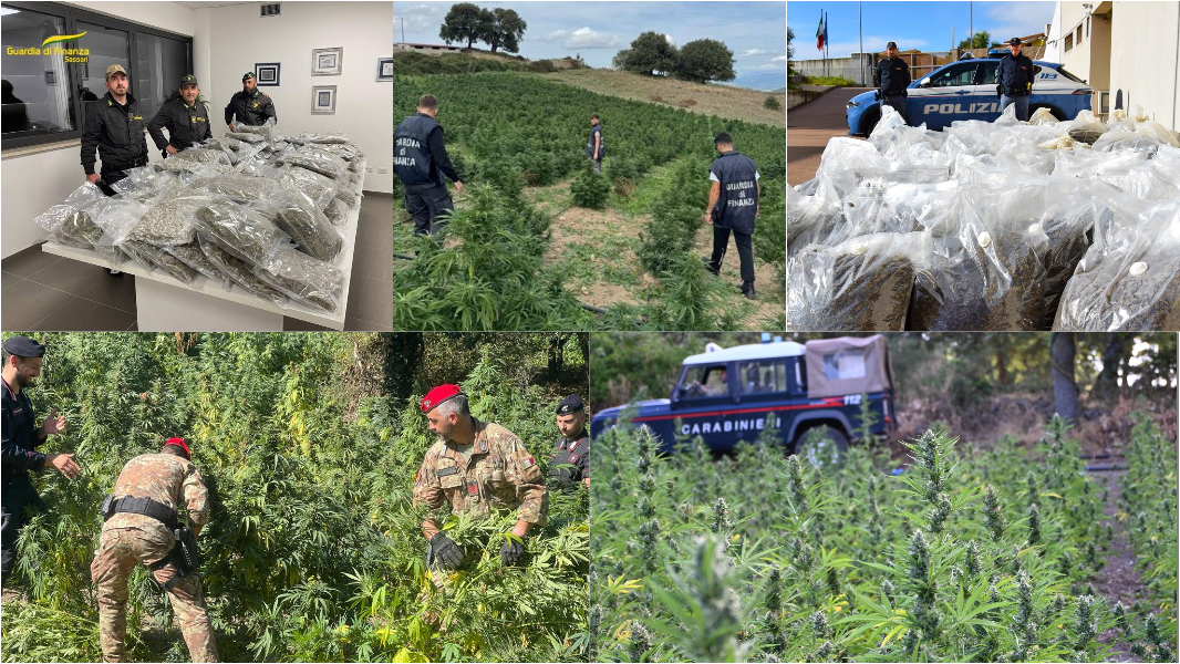 Nella serra d’Italia della marijuana: 640 chili di droga ogni 100mila abitanti