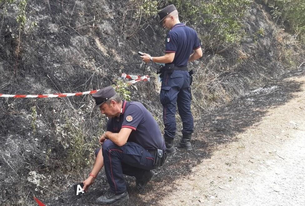 Allarme incendi boschivi in provincia di Modena: i dati e i motivi