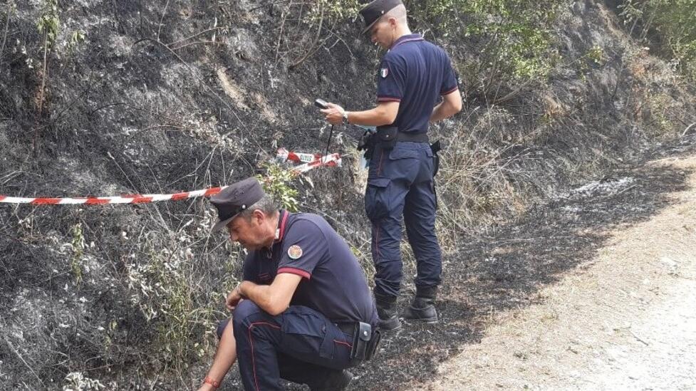 Allarme incendi boschivi in provincia di Modena: i dati e i motivi
