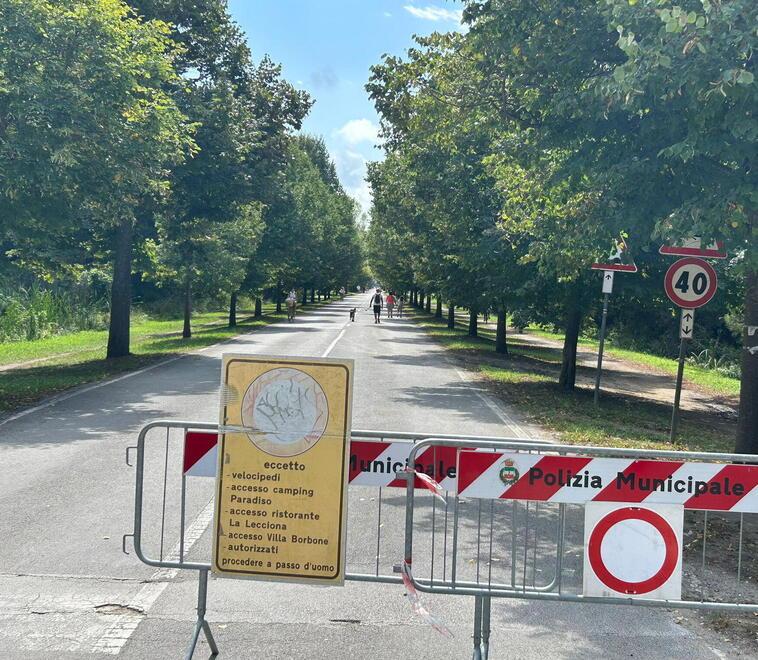 Viareggio, paura aggressioni sul viale dei Tigli. Il titolare del campeggio: «Sconsigliamo di uscire di sera»