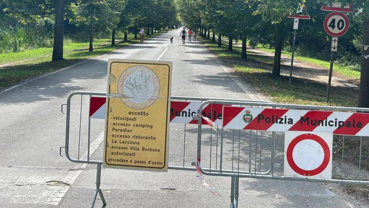 Viareggio, paura aggressioni sul viale dei Tigli. Il titolare del campeggio: «Sconsigliamo di uscire di sera»