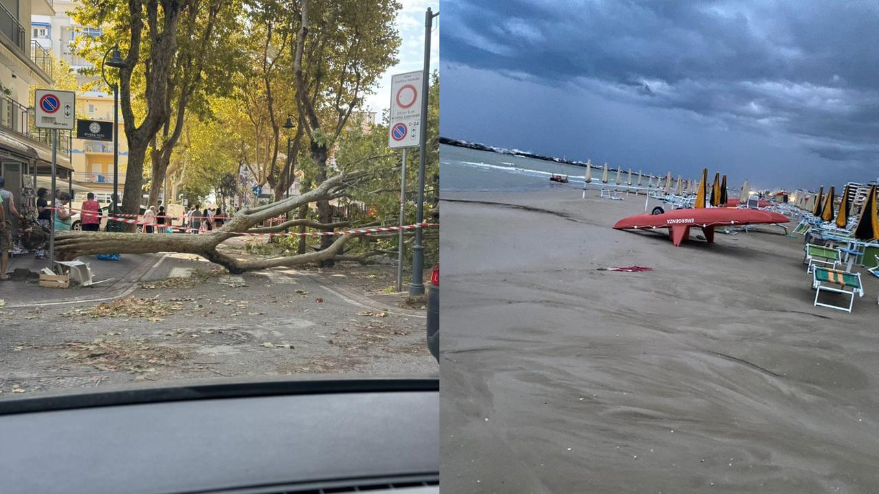 Violento nubifragio in Romagna: alberi caduti e strade allagate