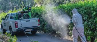 La lunga estate di lotta a West Nile, Dengue e Chikungunya: ecco cosa sta succedendo