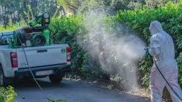 La lunga estate di lotta a West Nile, Dengue e Chikungunya: ecco cosa sta succedendo