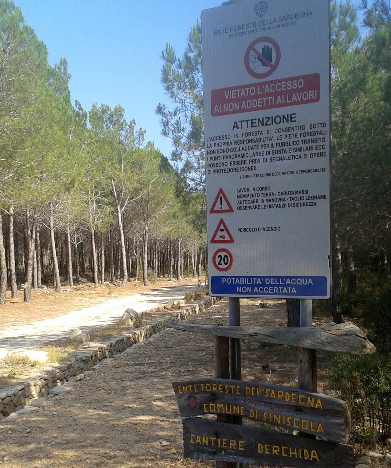 
	Il cartello che indica l'accesso al cantiere forestale di Berchida

