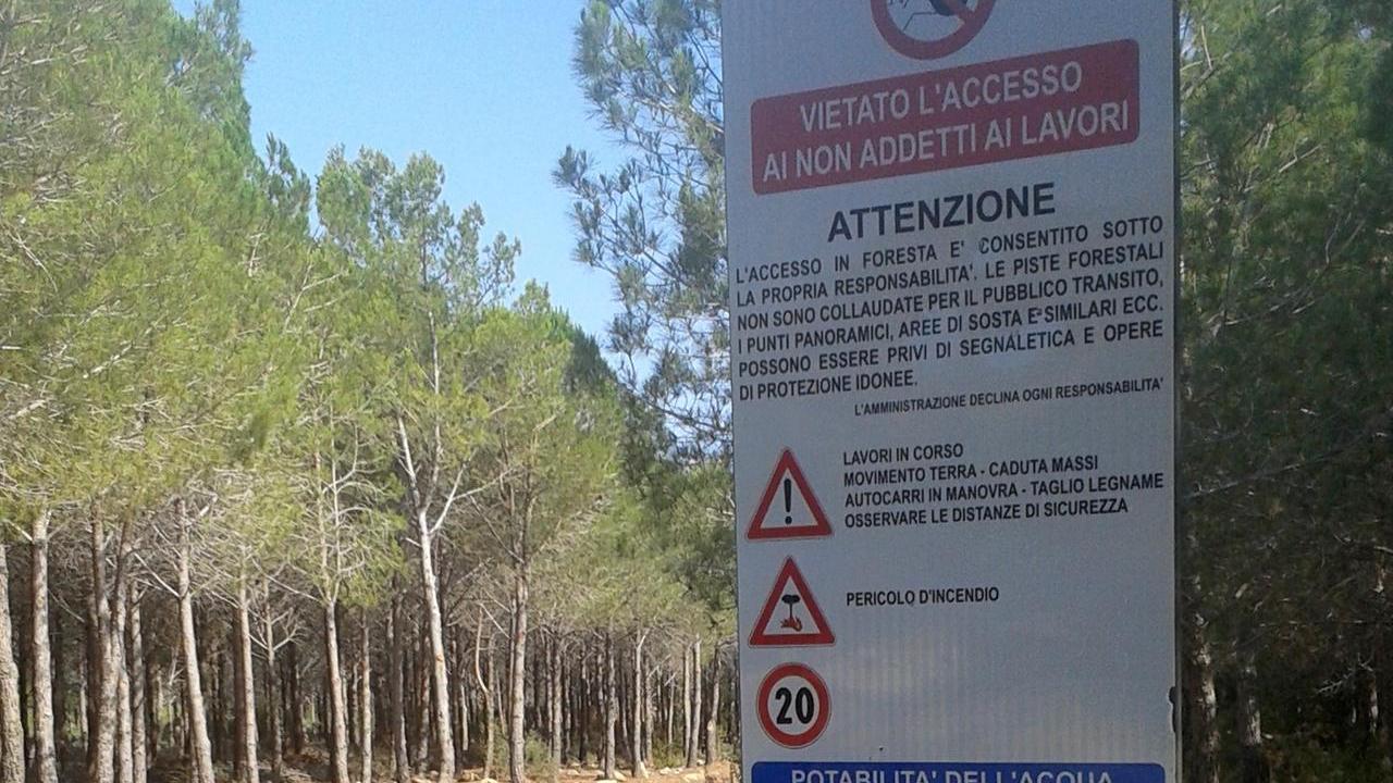 Il cartello che indica l'accesso al cantiere forestale di Berchida