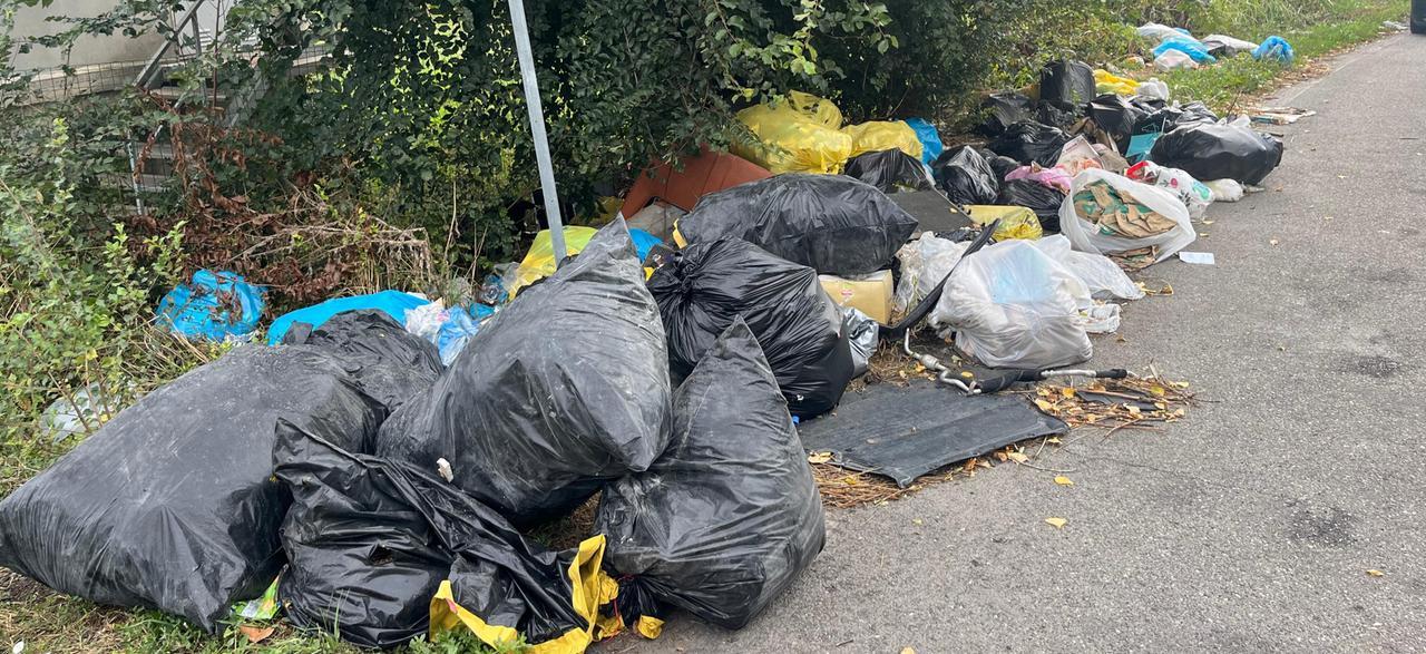 
	I rifiuti a lato della Pedemontana

