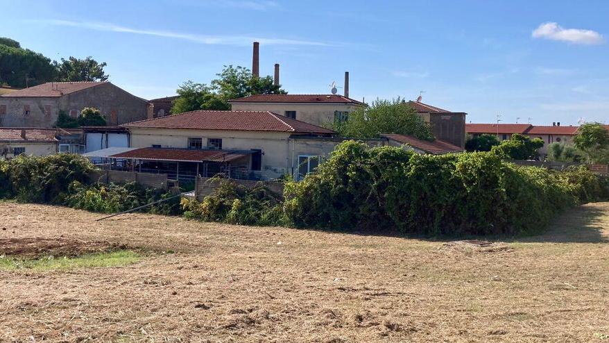 L'area in cui sarà costruito il nuovo supermercato Lidl (foto Falorni/Stick)