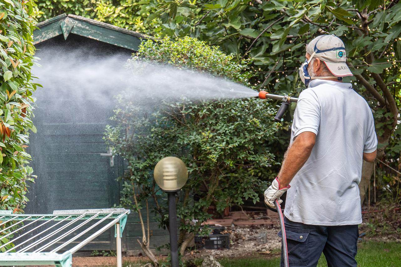 I casi di Chikungunya salgono a 63, solo uno legato a viaggi all’estero
