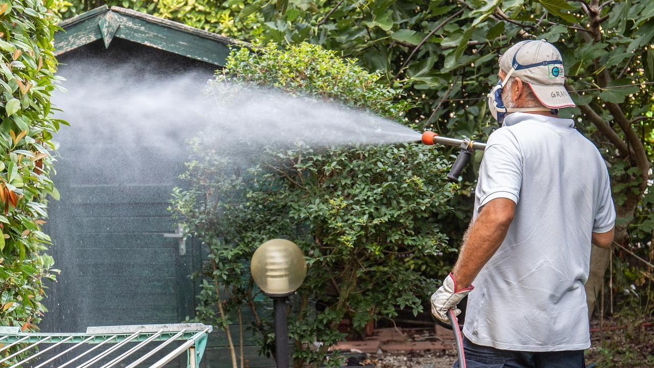 I casi di Chikungunya salgono a 63, solo uno legato a viaggi all’estero