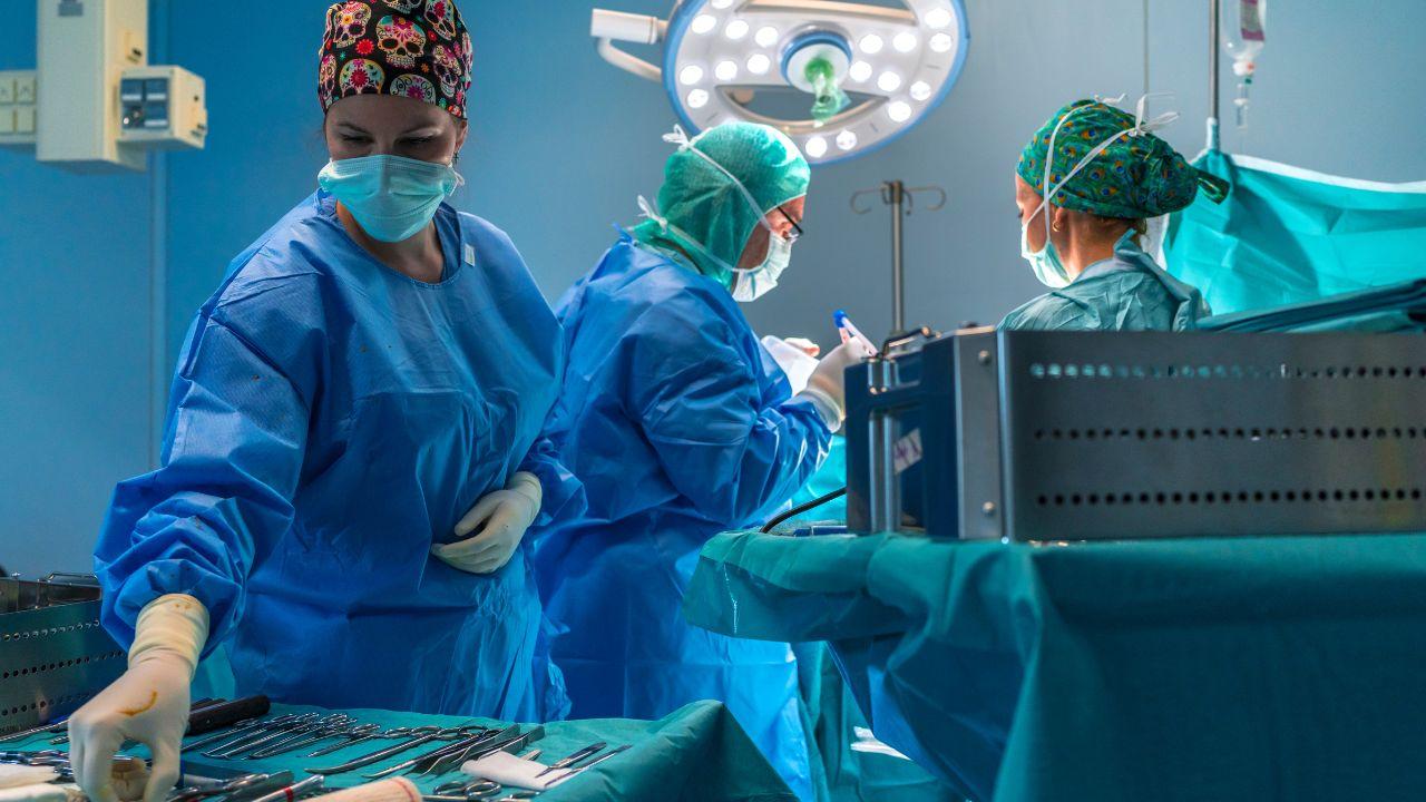 
	Per la prima volta &egrave; stato trapiantato un polmone di maiale su un uomo: lo studio pubblicato su "Nature Medicine" (foto di repertorio)

