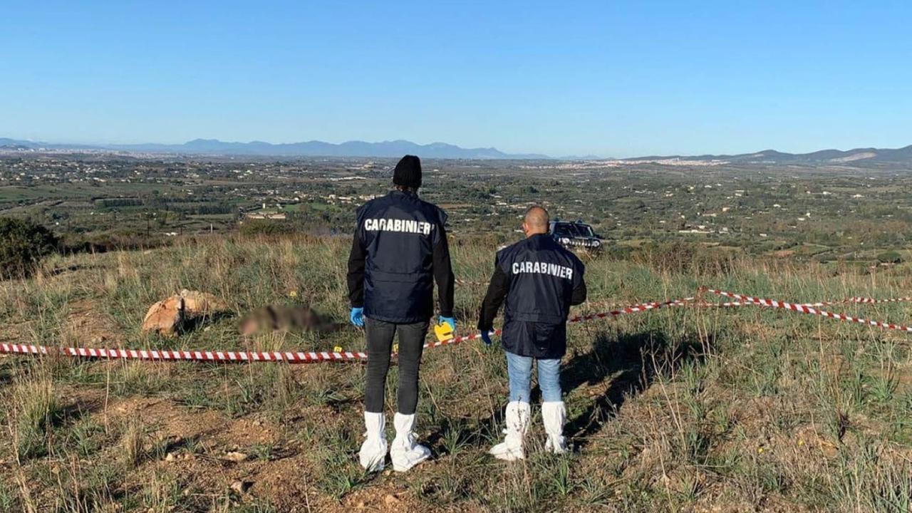Giallo in campagna: trovato il cadavere di un uomo