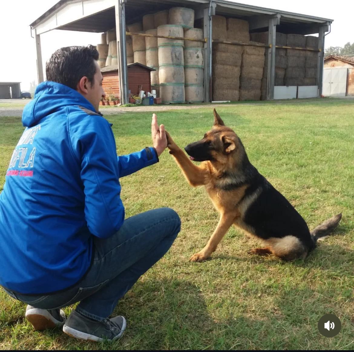 È morta Sally colonna dei “Lupi dell’Appennino Reggiano”