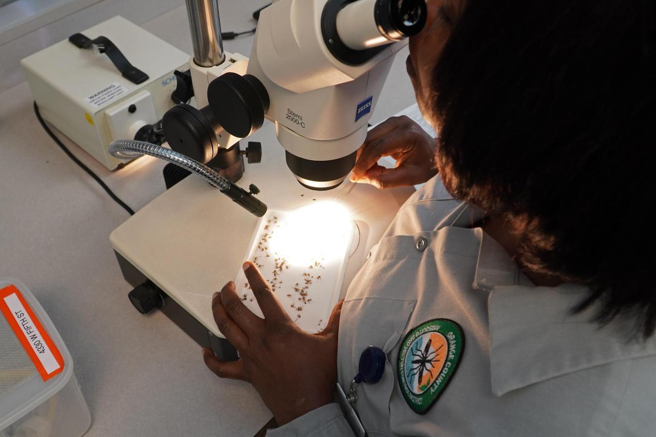 
	Febbre del Nilo: il virus della West Nile osservato in laboratorio

