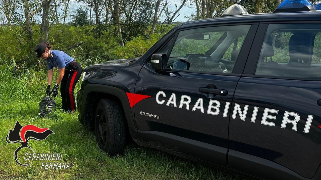 Amianto abbandonato sull’argine a Gorino, denunciato un 80enne