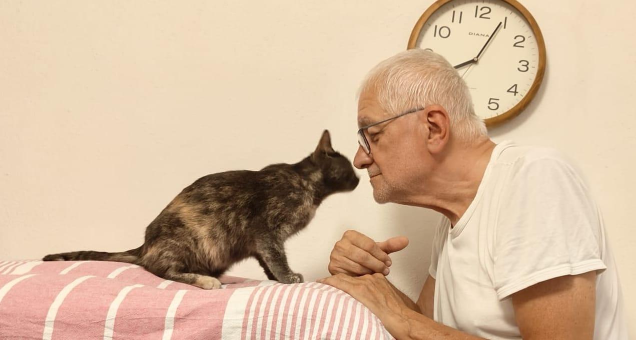 Miracolo a Porto Torres: ritrovata dopo due mesi la gatta Bàstet
