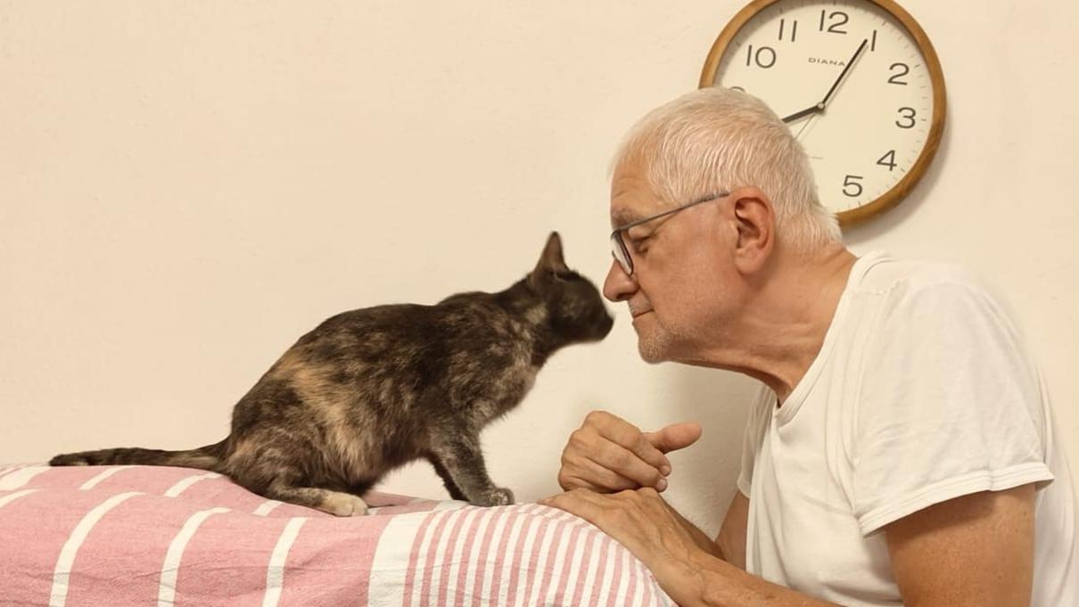 Miracolo a Porto Torres: ritrovata dopo due mesi la gatta Bàstet