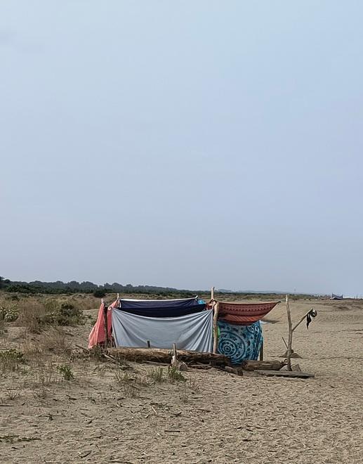 San Rossore, dormivano in tenda nel Parco: multati<br>

