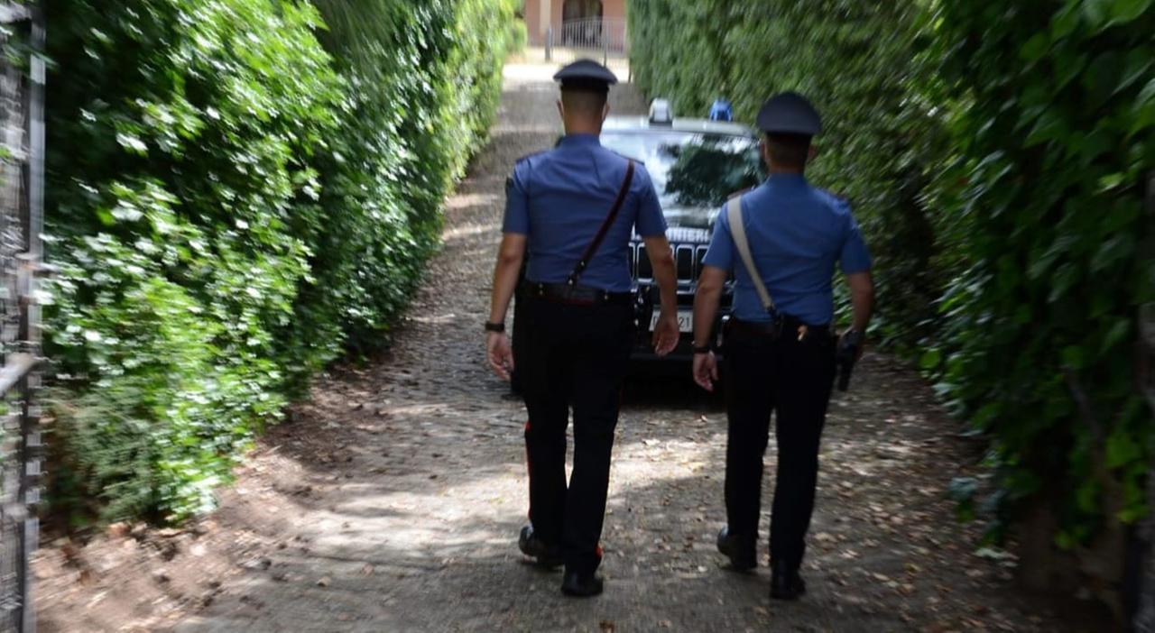 Il vicino di casa picchia il marito, lei lo minaccia con un fucile