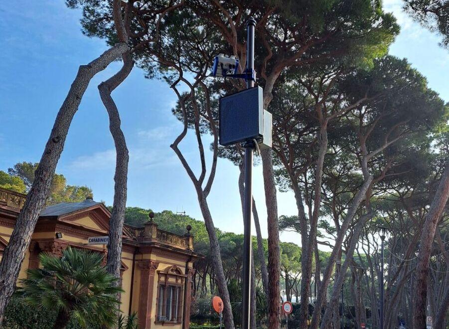 Una telecamera in pineta