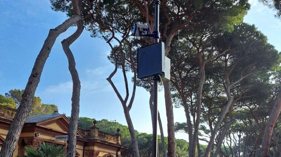 Una telecamera in pineta