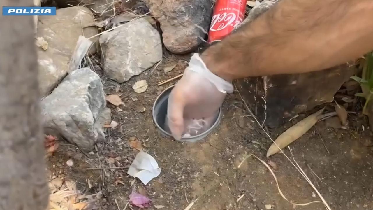Banchetto della droga in mezzo ai cespugli: scoperto e arrestato un 18enne