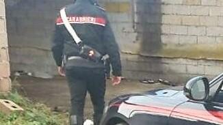 Incornato da un toro, ore di terrore per l’allevatore di Benetutti