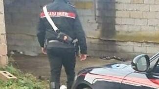 Incornato da un toro, ore di terrore per l’allevatore di Benetutti