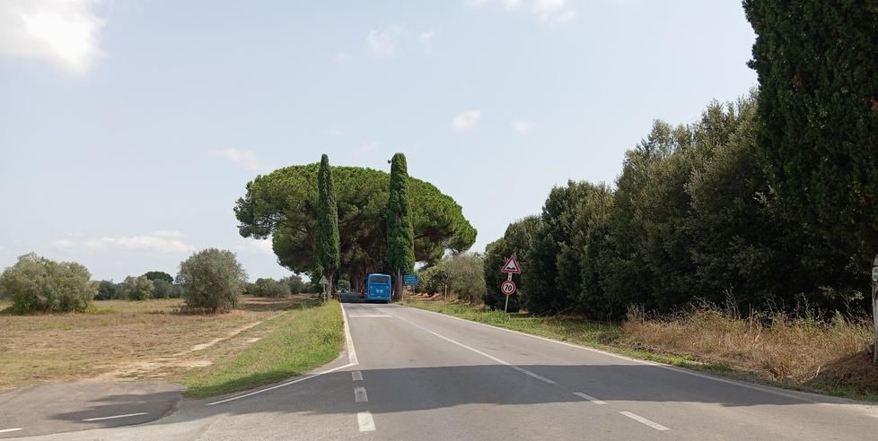 
	Un'immagine del tratto stradale

