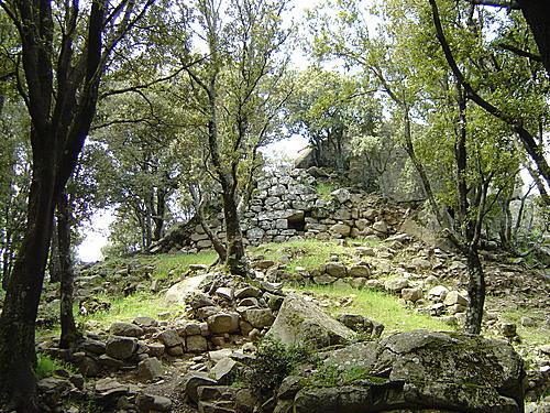 
	Il bosco Selene a Lanusei

