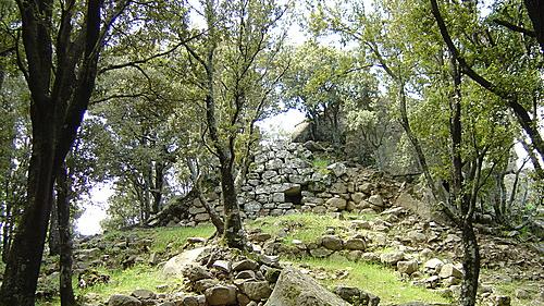 Il bosco Selene a Lanusei