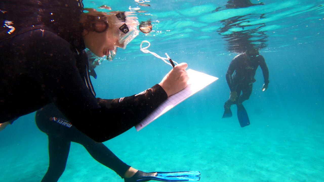 Maria Sole Bianco: «Il mare è il nostro futuro, dobbiamo proteggerlo»